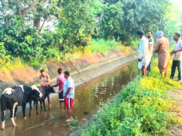 Animal Welfare