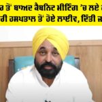 Punjab Cabinet Decisions