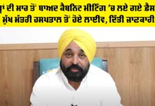 Punjab Cabinet Decisions