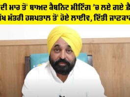 Punjab Cabinet Decisions