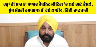 Punjab Cabinet Decisions