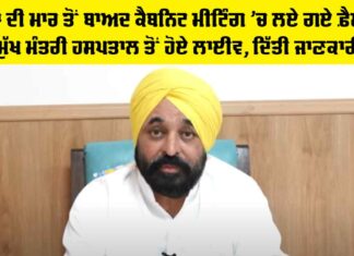Punjab Cabinet Decisions