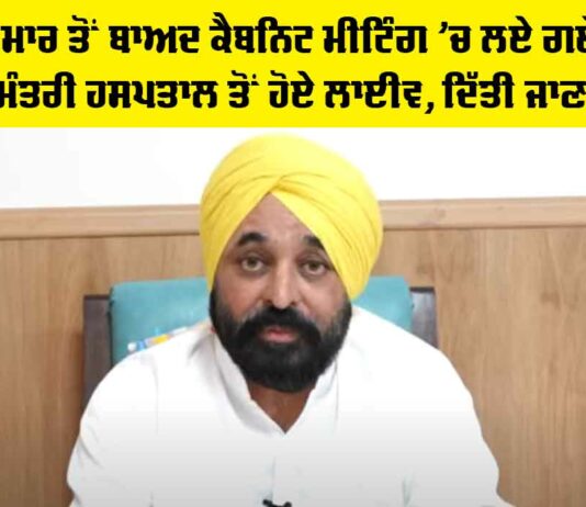 Punjab Cabinet Decisions