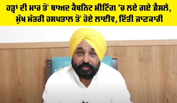 CM-Mann-2 Punjab Cabinet Decisions