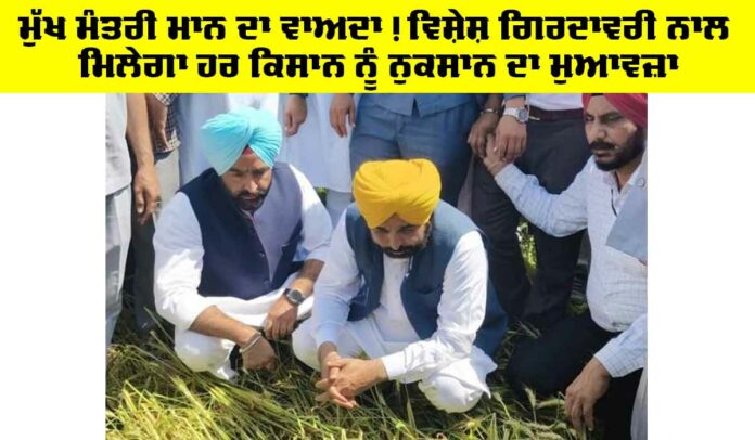 CM Punjab