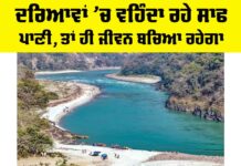Clean Rivers
