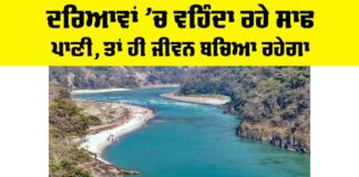 Clean Rivers