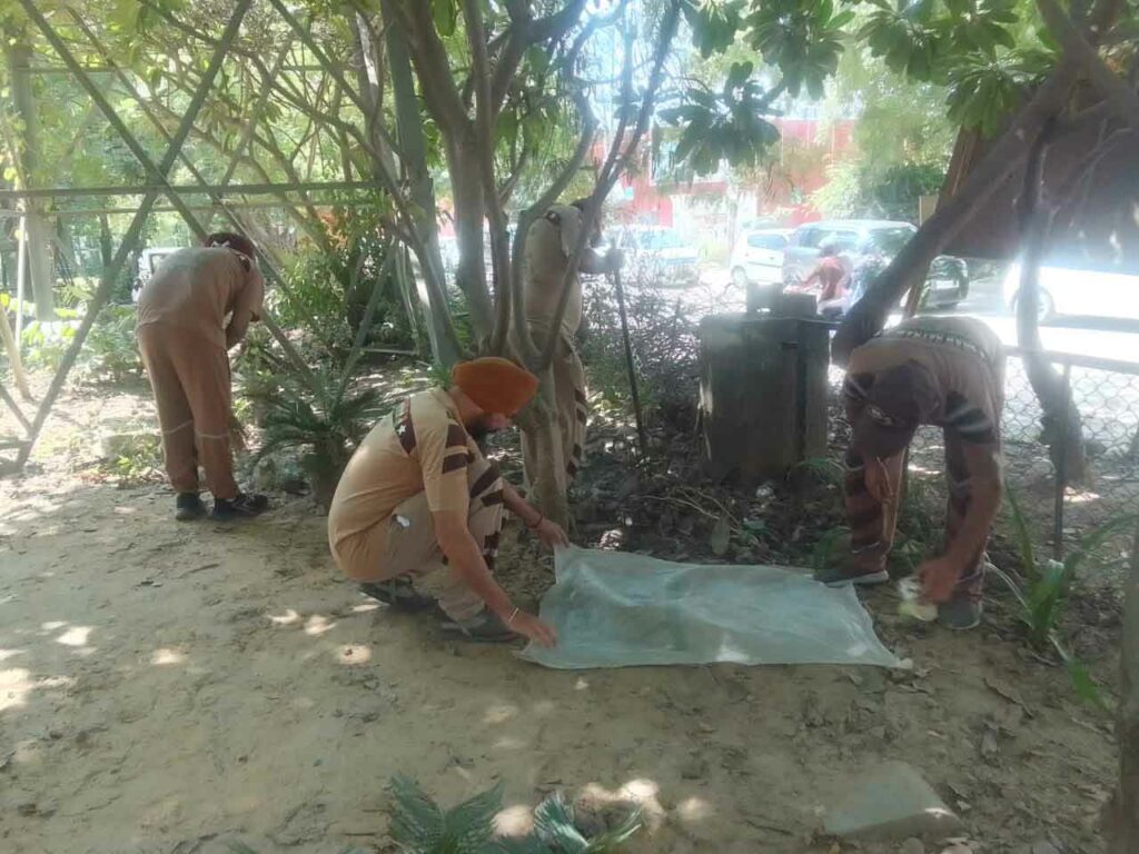 Cleanliness Campaign Gurugram