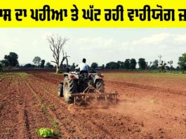 Development vs Agriculture