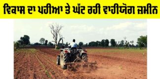 Development vs Agriculture