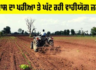 Development vs Agriculture