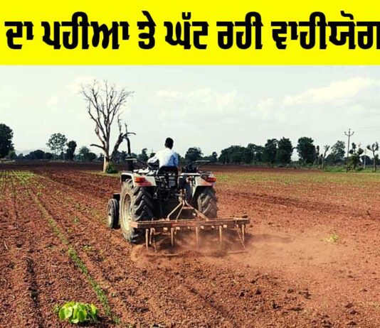Development vs Agriculture