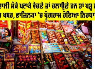 Diwali Firecrackers