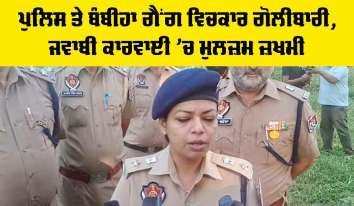 Faridkot News