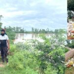 Ghaggar Water Level