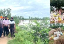 Ghaggar Water Level