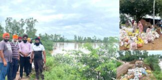Ghaggar Water Level