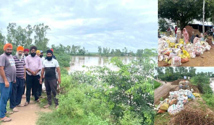 Ghaggar Water Level