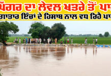 Ghaggar River News Update