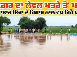 Ghaggar River News Update