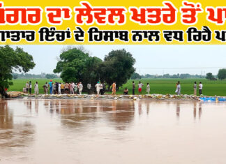 Ghaggar River News Update