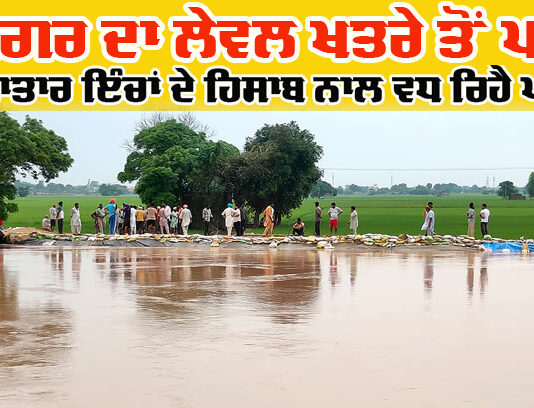 Ghaggar River News Update