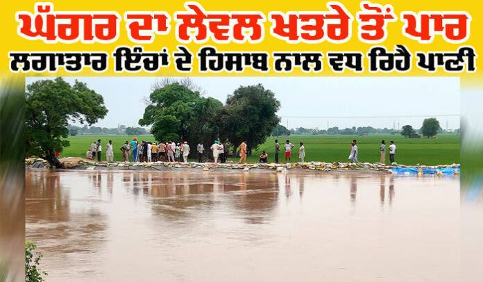 Ghaggar River News Update