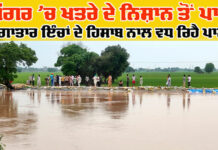 Ghaggar River News Update