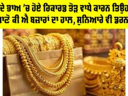 Gold Price