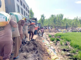 Flood Punjab News