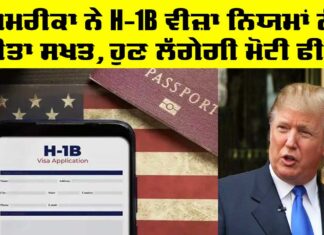 H1 B Visa fees