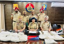 Heroin Seizure