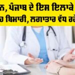 Jalandhar Dengue Update
