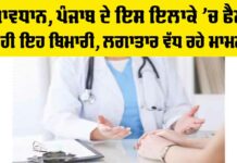Jalandhar Dengue Update