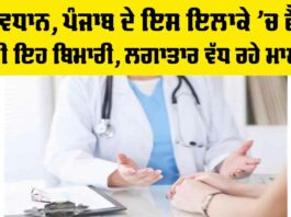 Jalandhar Dengue Update