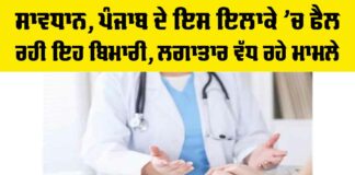 Jalandhar Dengue Update