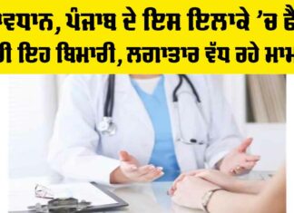 Jalandhar Dengue Update