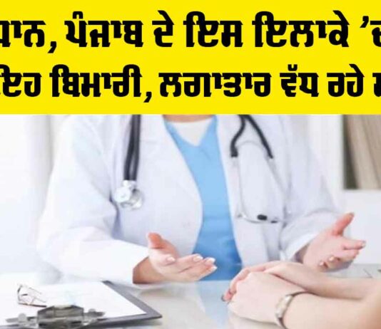 Jalandhar Dengue Update