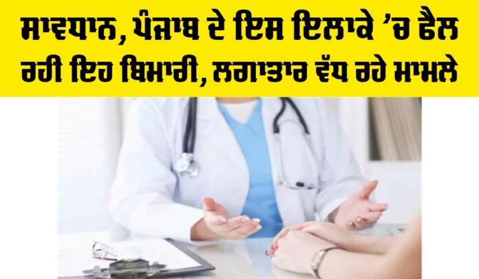 Jalandhar Dengue Update