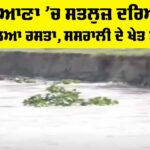 Ludhiana News