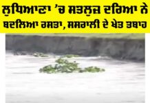 Ludhiana News