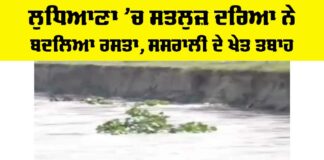 Ludhiana News