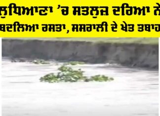 Ludhiana News