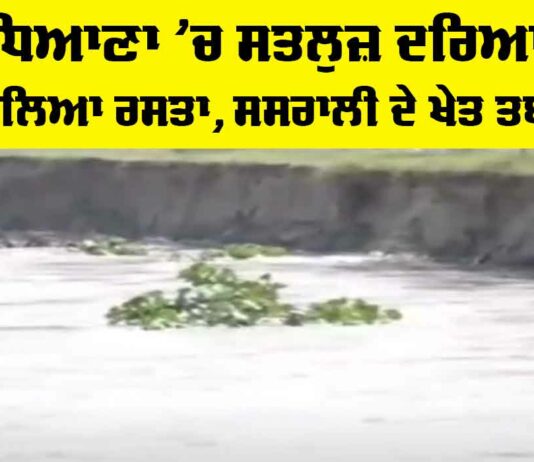 Ludhiana News: ਲੁਧਿਆਣਾ ’ਚ ਸਤਲੁਜ਼ ਦਰਿਆ ਨੇ ਬਦਲਿਆ ਰਸਤਾ, ਸਸਰਾਲੀ ਦੇ ਖੇਤ ਤਬਾਹ Ludhiana News