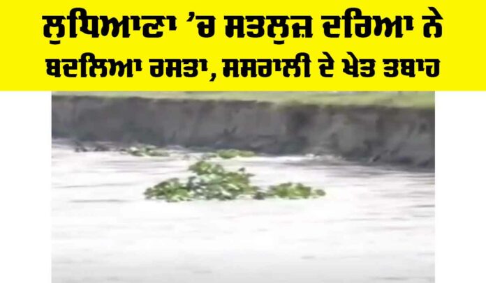 Ludhiana News