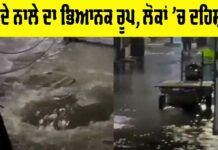 Ludhiana News