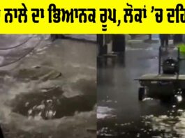 Ludhiana News