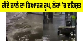 Ludhiana News