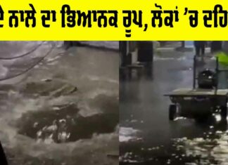 Ludhiana News