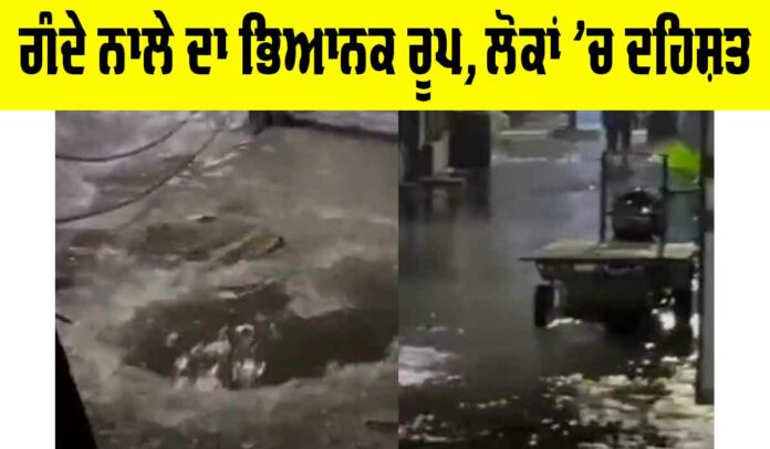 Ludhiana News